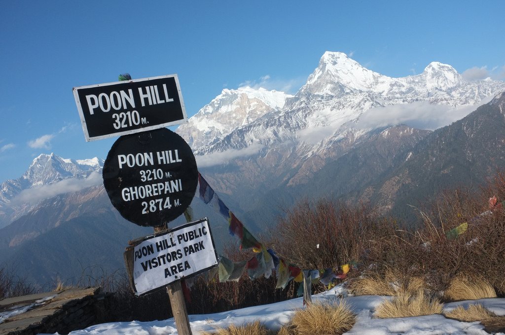 Ghorepani Poon Hill Trek – Himalayan Sunrise, Rhododendron Forests & Gurung Villages