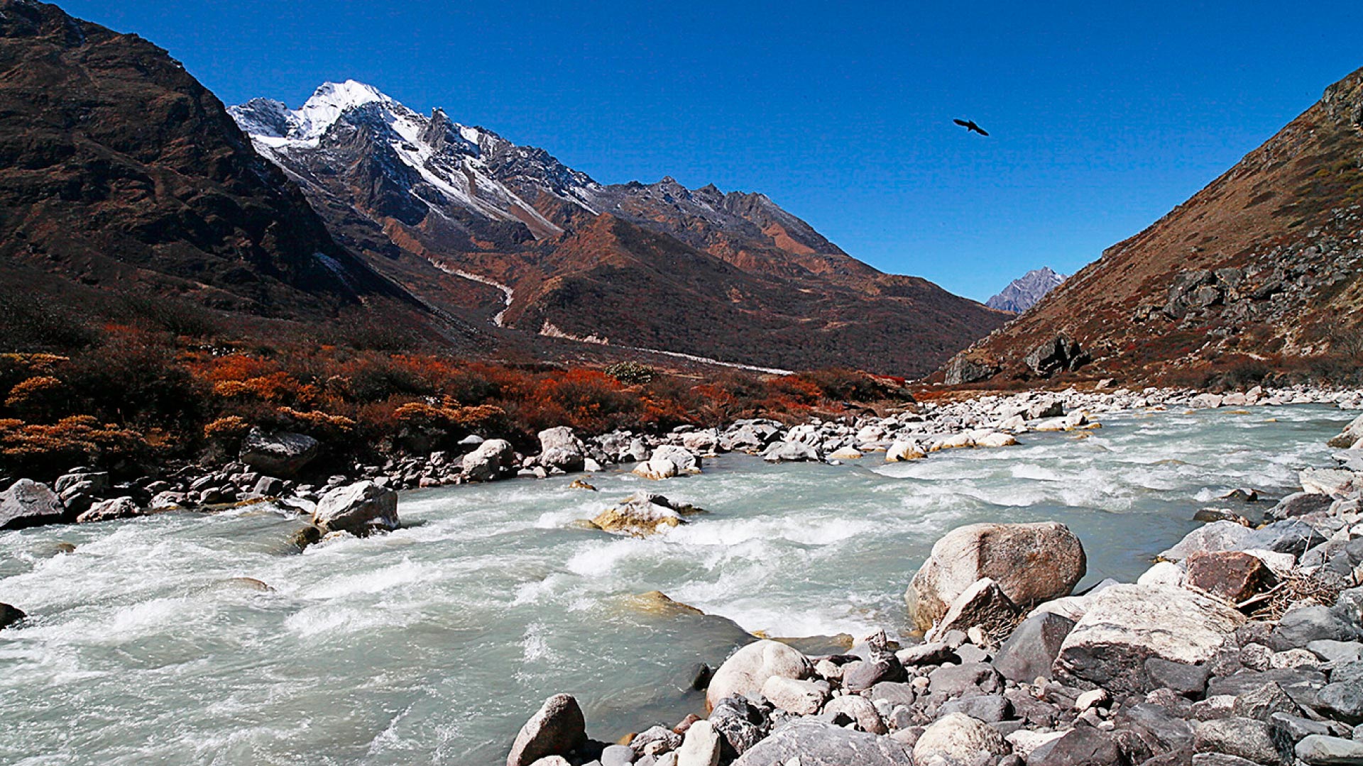 Langtang Valley Trek – Himalayan Landscapes, Tamang Culture & Alpine Adventure